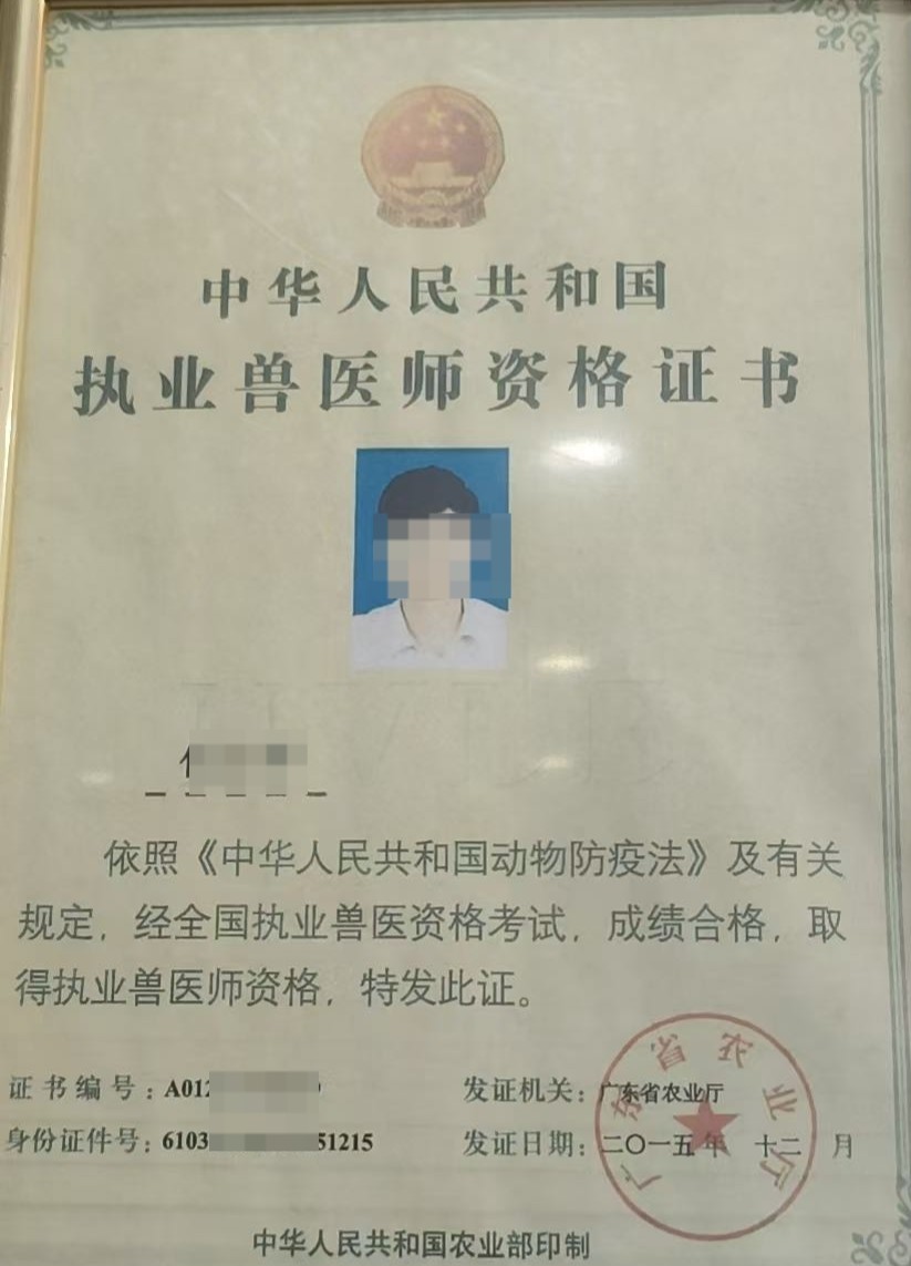 文章插图
