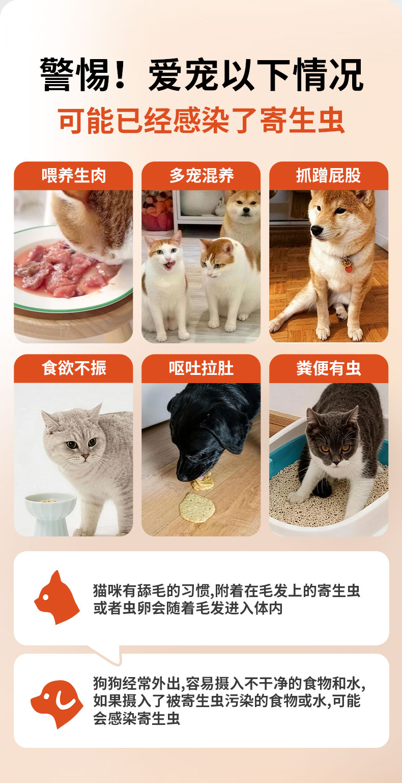 文章插图